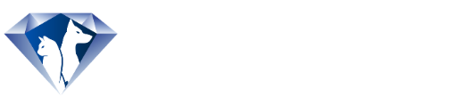 Diamond Pet Travel